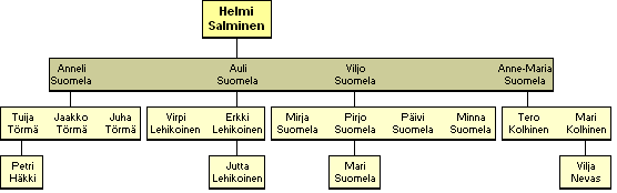 Helmi Salminen - jlkelisi