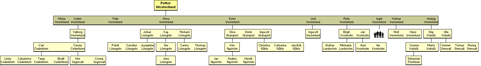 Petter Herman Westerlund 1873-1937 - jlkelisi