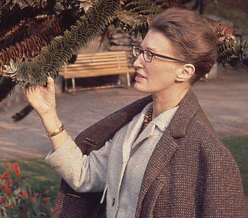 Ann-Mari Kruskopf