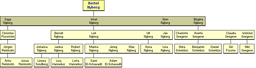 Bertel Bernhard Nyberg 1882-1968 - jlkelisi
