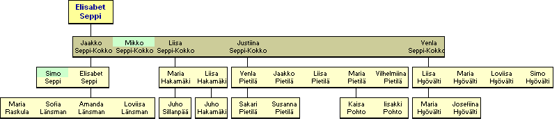 Elisabet Seppi-Kokko 1778-1855 - jlkelisi