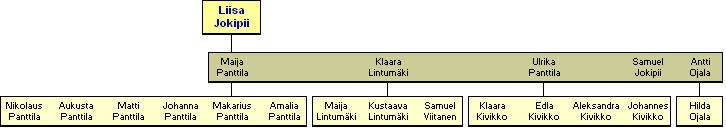Liisa Jokipii 1820-1868 - jlkelisi