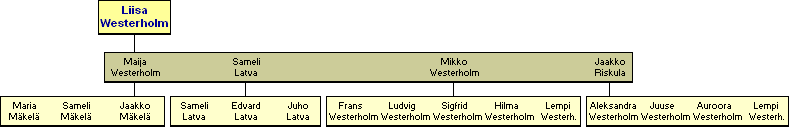 Liisa Mikkil, Westerholm 1818-1898 - jlkelisi