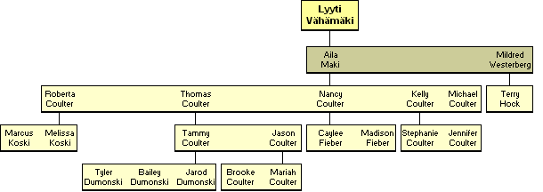 Lyyti Maria Vhmki 1902-1975 - jlkelisi