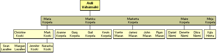 Auli Eliina Vhmki 1911-2001 - jlkelisi